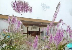 国际米兰对都灵比赛博彩分析及投注建议