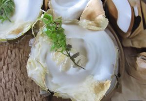 哈里森巴恩斯在NBA的职业生涯与未来发展展望分析